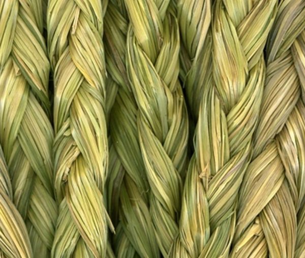 SWEETGRASS (Wacanga)
