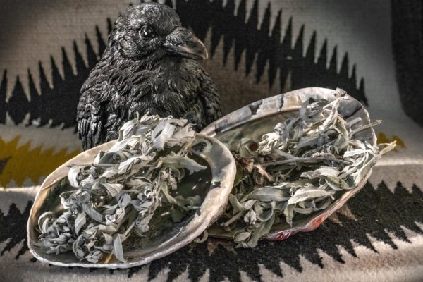 Sacred Sage Kit with Abalone Shell