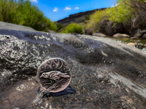 The Night Raven Ring