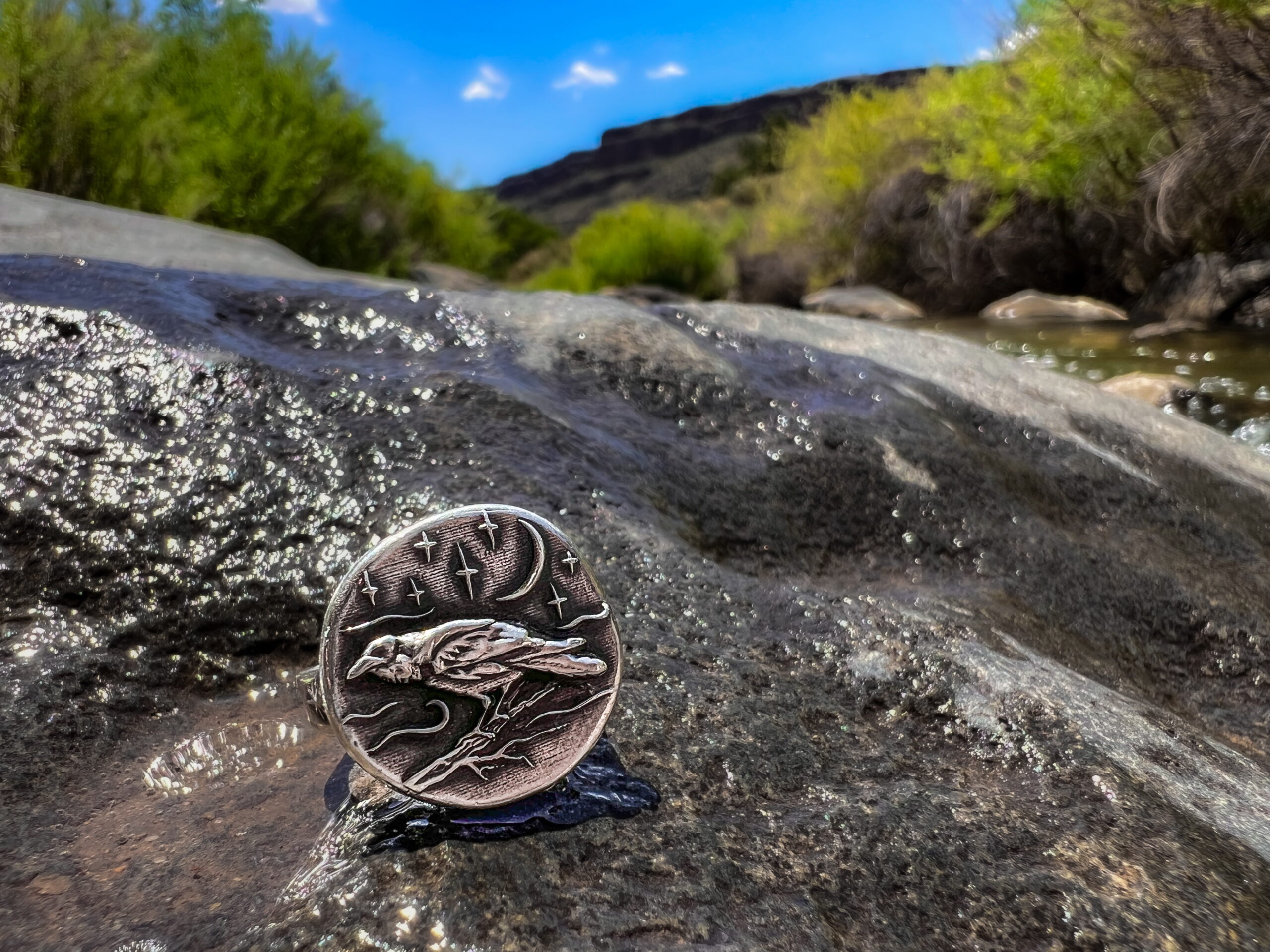 The Night Raven Ring